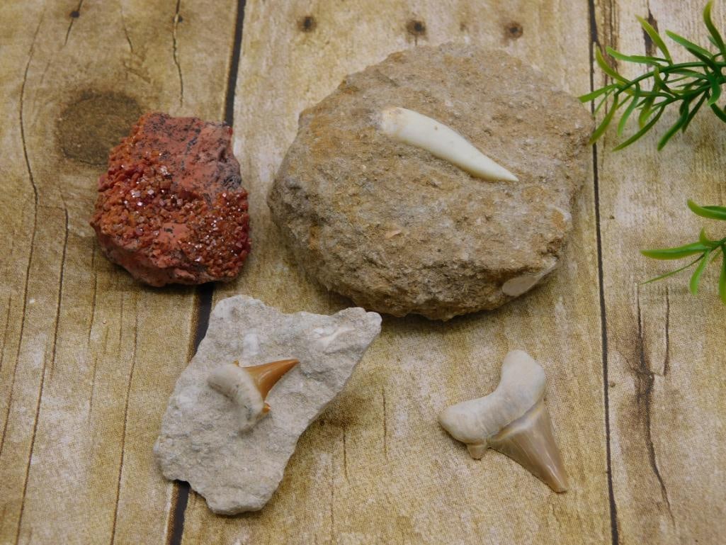 MIXED LOT ROCK STONE LAPIDARY SPECIMEN: MIXED LOT ROCK STONE LAPIDARY SPECIMEN