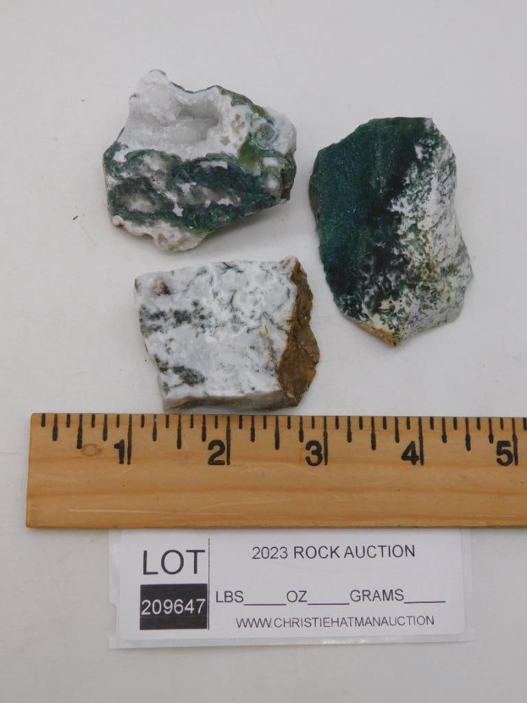 TREE AGATE ROCK STONE LAPIDARY SPECIMEN - 2