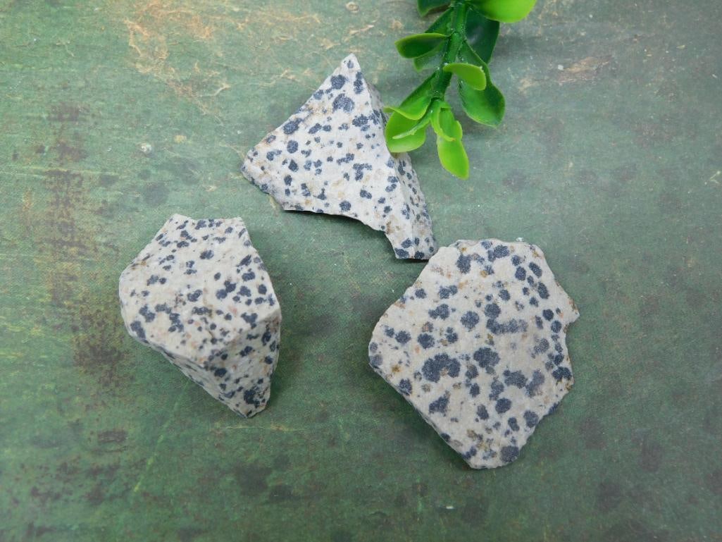DALMATION JASPER ROCK STONE LAPIDARY SPECIMEN: DALMATION JASPER ROCK STONE LAPIDARY SPECIMEN
