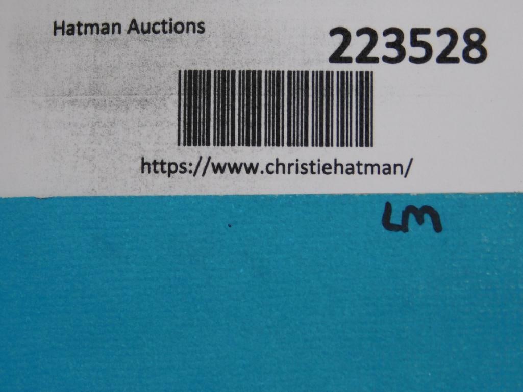 SHARK TEETH PENDANTS ROCK STONE LAPIDARY SPECIMEN: SHARK TEETH PENDANTS ROCK STONE LAPIDARY SPECIMEN