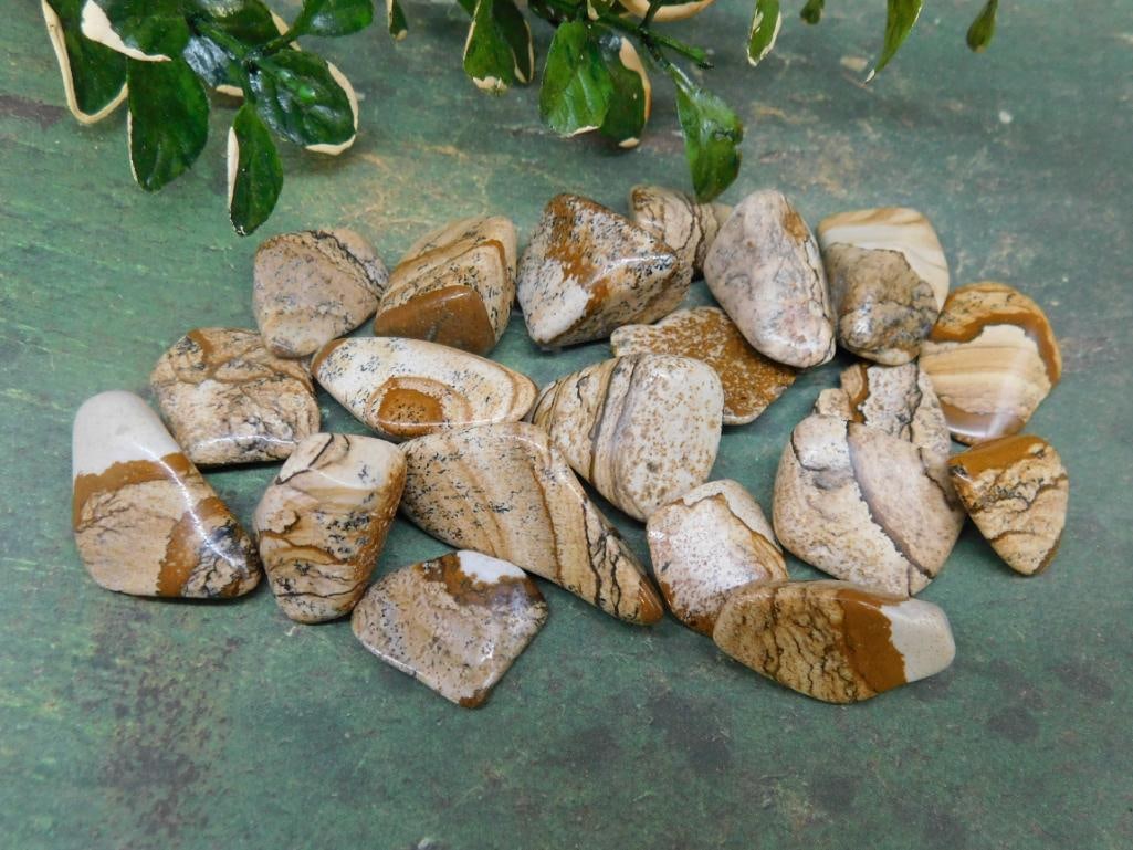 PICTURE JASPER ROCK STONE LAPIDARY SPECIMEN (1 of 2)