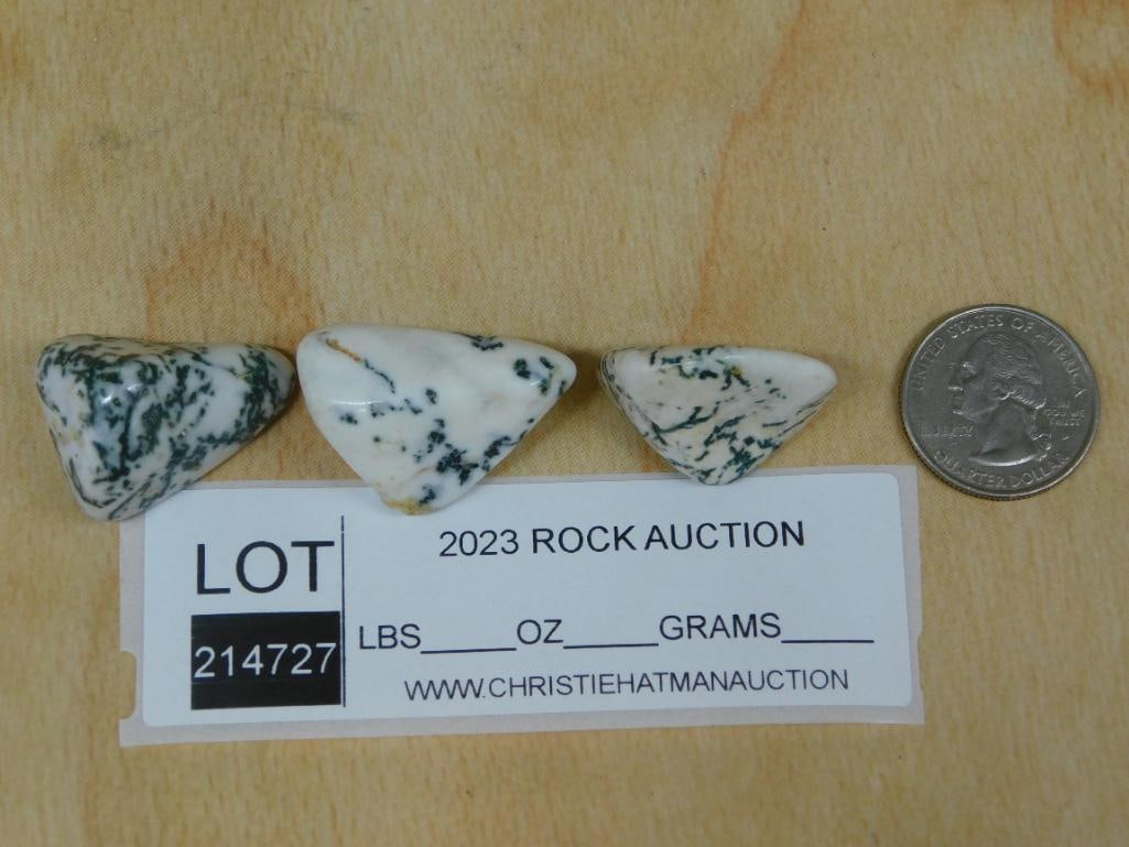 TREE AGATE ROCK STONE LAPIDARY SPECIMEN - 2