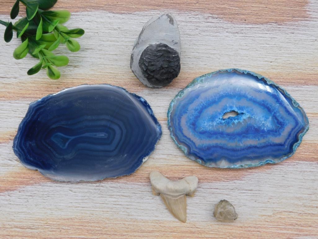 MIXED LOT ROCK STONE LAPIDARY SPECIMEN (1 of 2)