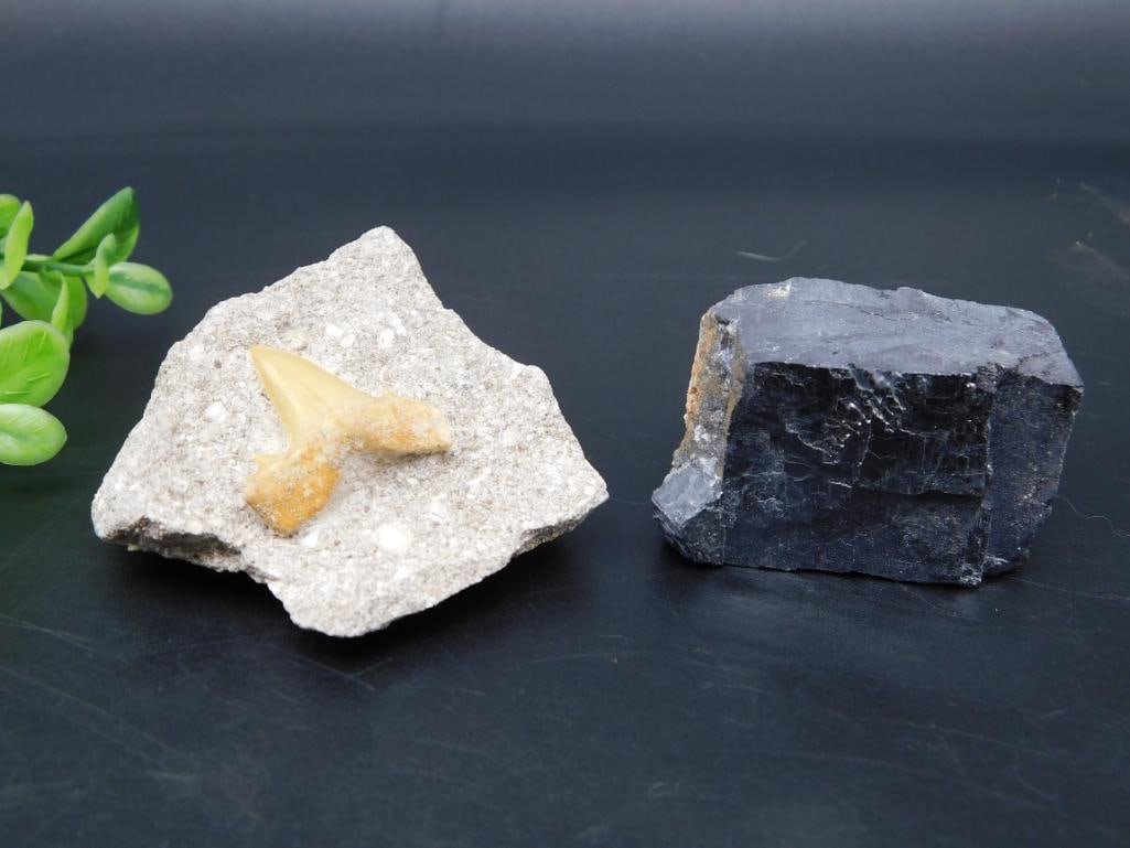 MIXED LOT ROCK STONE LAPIDARY SPECIMEN (1 of 2)