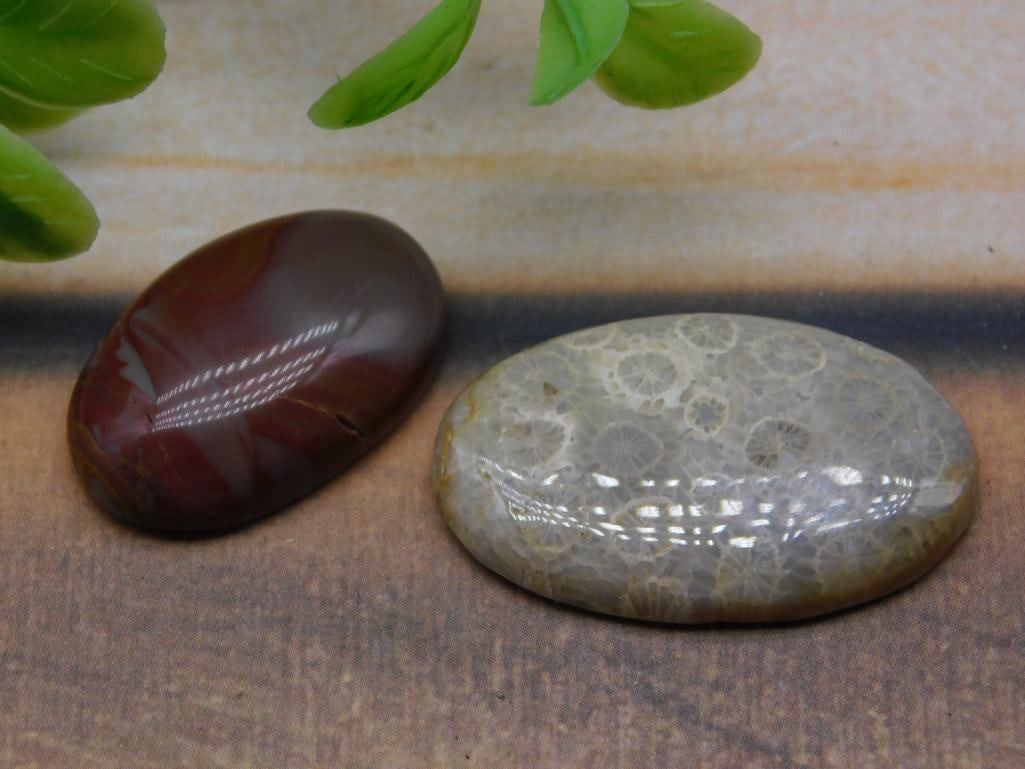 CABOCHONS ROCK STONE LAPIDARY SPECIMEN: CABOCHONS ROCK STONE LAPIDARY SPECIMEN