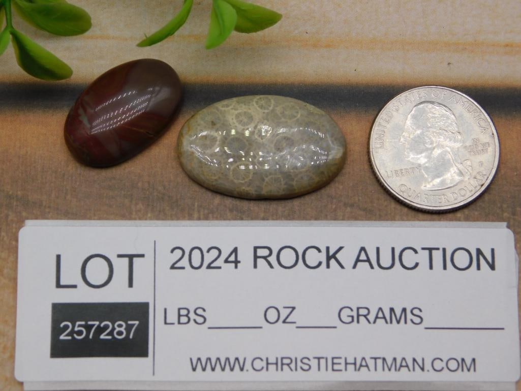 CABOCHONS ROCK STONE LAPIDARY SPECIMEN - 2