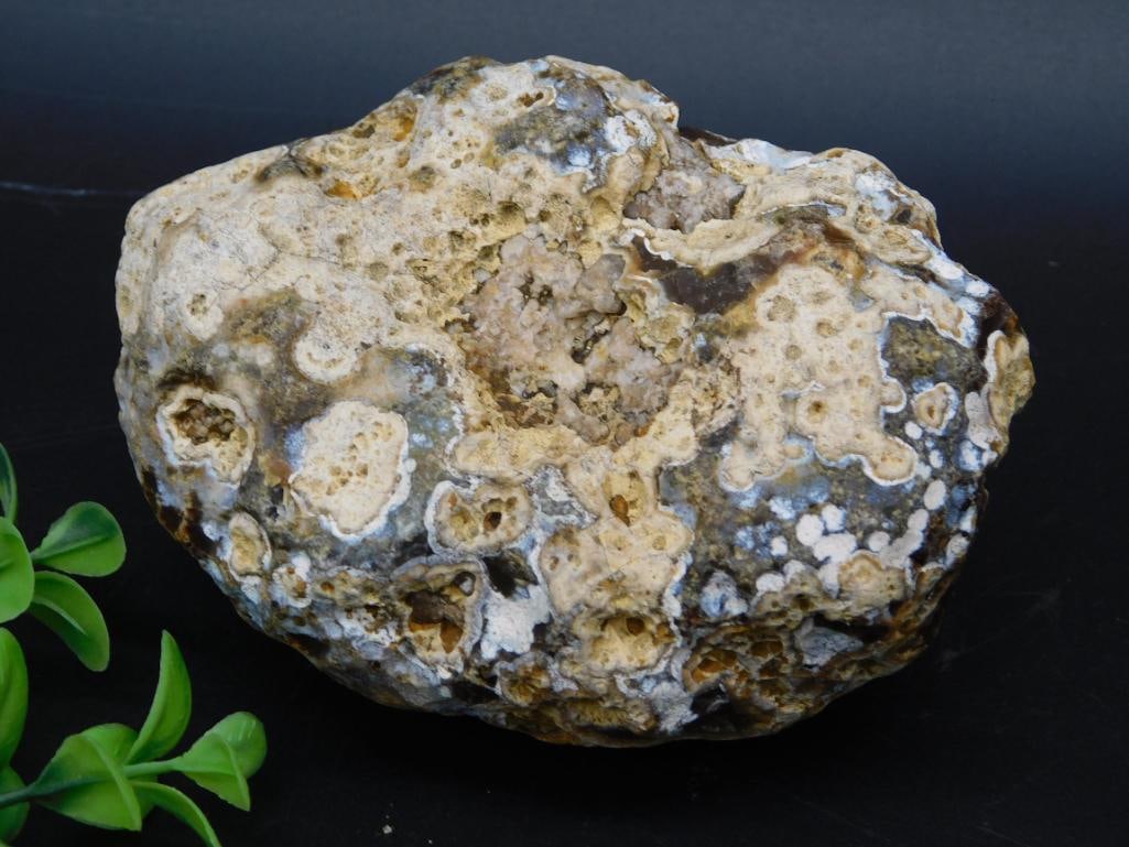 ROCK STONE LAPIDARY SPECIMEN: ROCK STONE LAPIDARY SPECIMEN