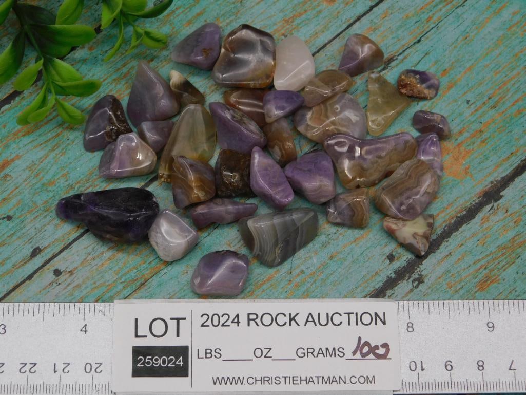 ROYAL AZTEC LACE - 3