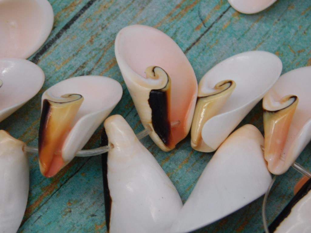 SPIRAL CUT PUKA SHELL BEADS - 2