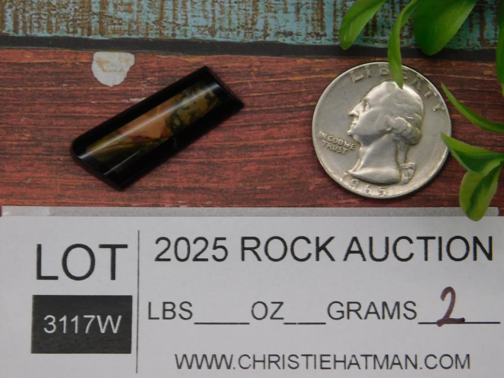 Polished Stone Cabochon with Multicolor Inclusions - 2