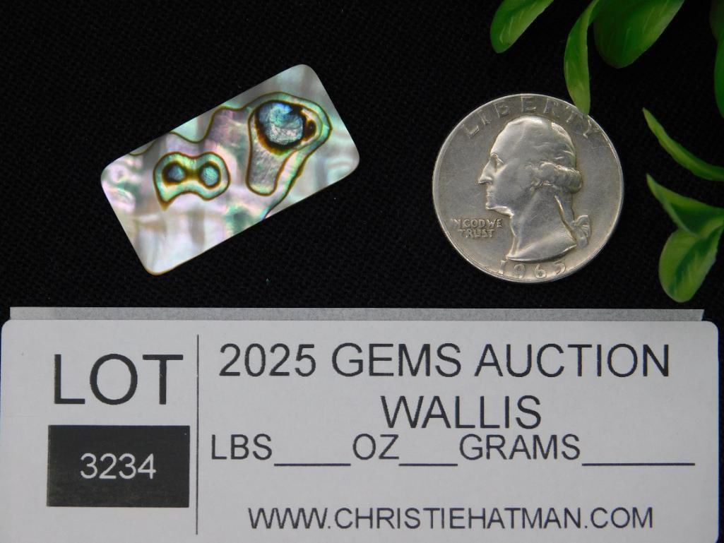 ABALONE RECTANGLE CABOCHON ROCK STONE LAPIDARY SPECIMEN - 2