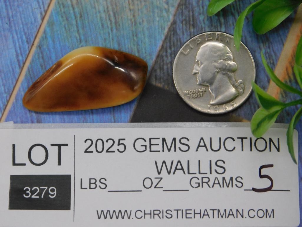 ROCK STONE LAPIDARY SPECIMEN - 2