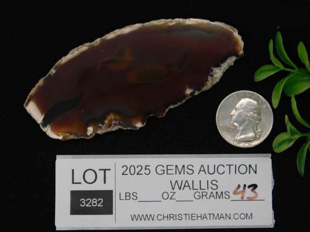 AGATE SLICE ROCK STONE LAPIDARY SPECIMEN - 2