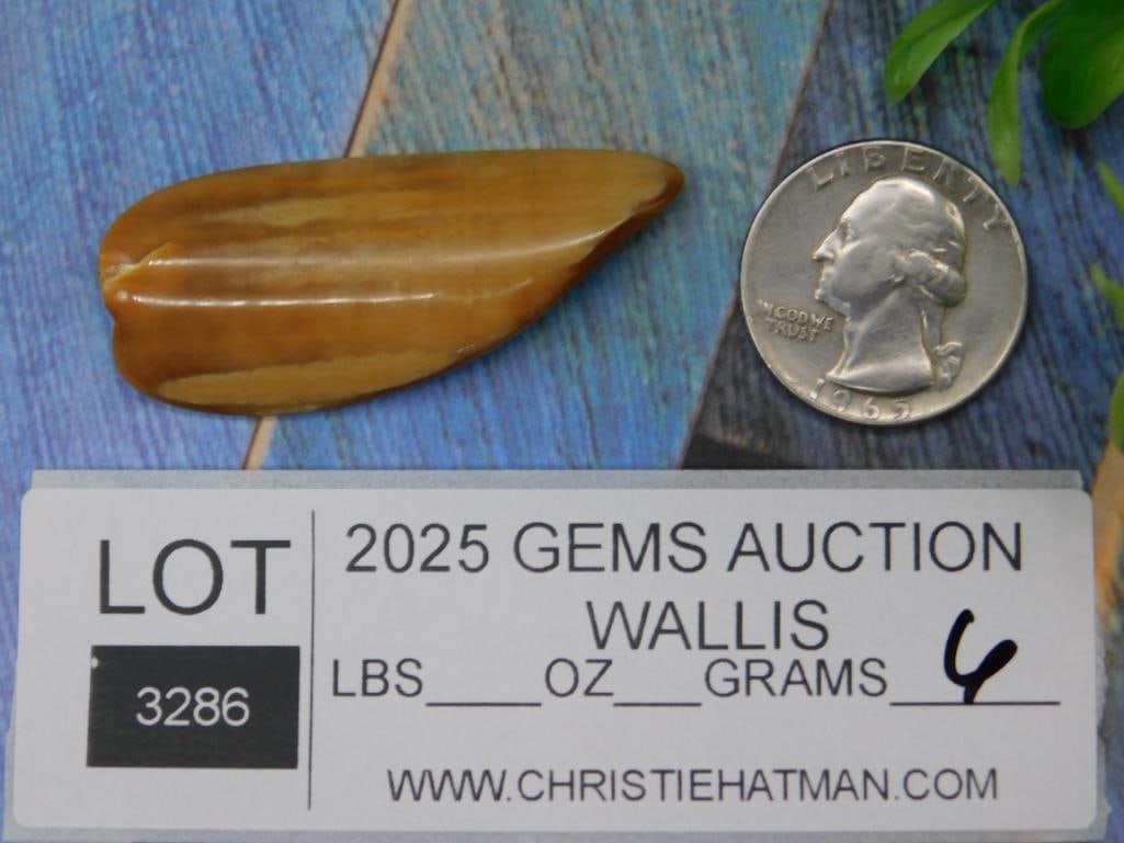 ROCK STONE LAPIDARY SPECIMEN - 2