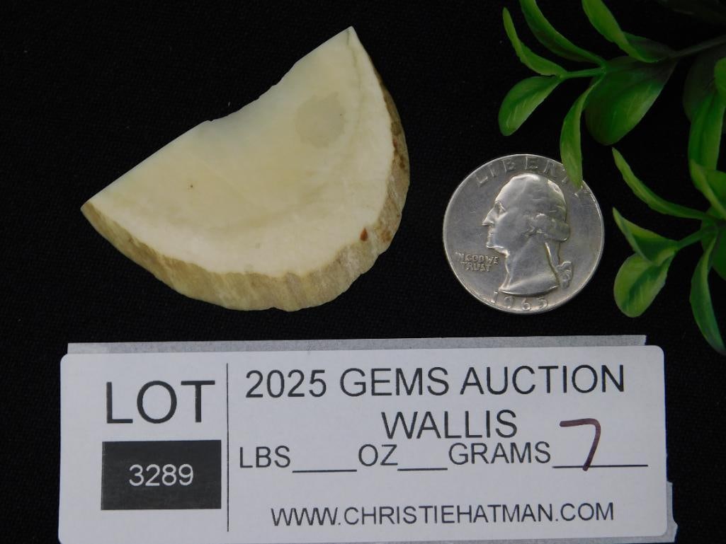 ROCK STONE LAPIDARY SPECIMEN - 2