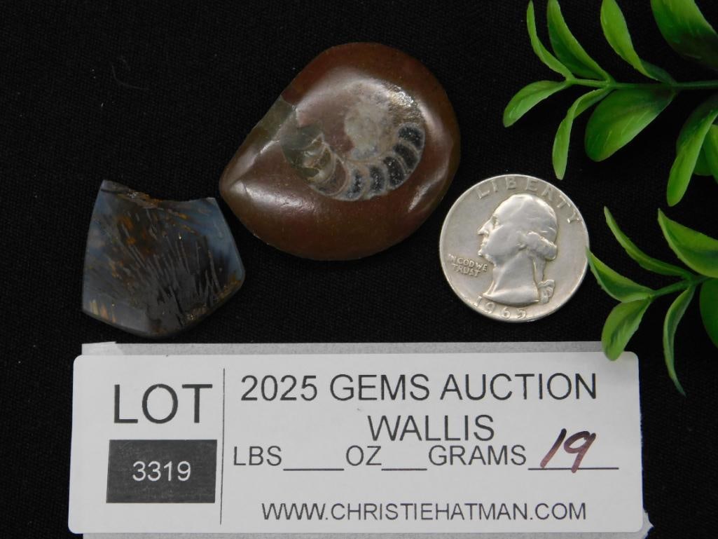 AGATE ROCK STONE LAPIDARY SPECIMEN - 2