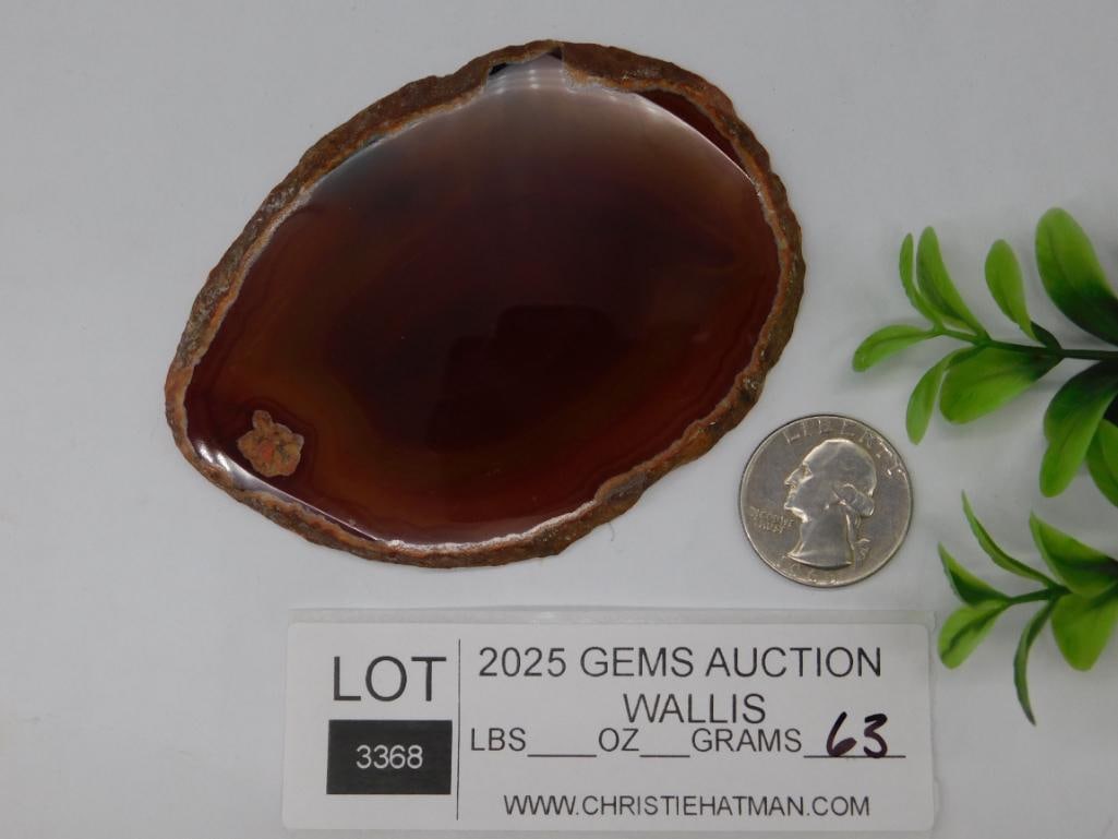 AGATE SLICE ROCK STONE LAPIDARY SPECIMEN - 2