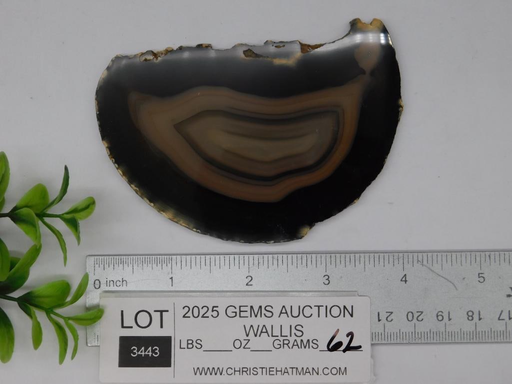 AGATE SLICE ROCK STONE LAPIDARY SPECIMEN - 2