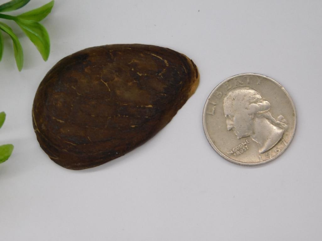 ROCK STONE LAPIDARY SPECIMEN - 2