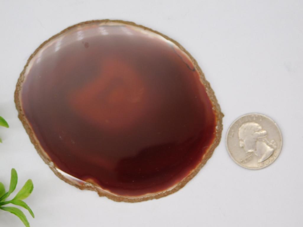AGATE SLICE ROCK STONE LAPIDARY SPECIMEN - 2