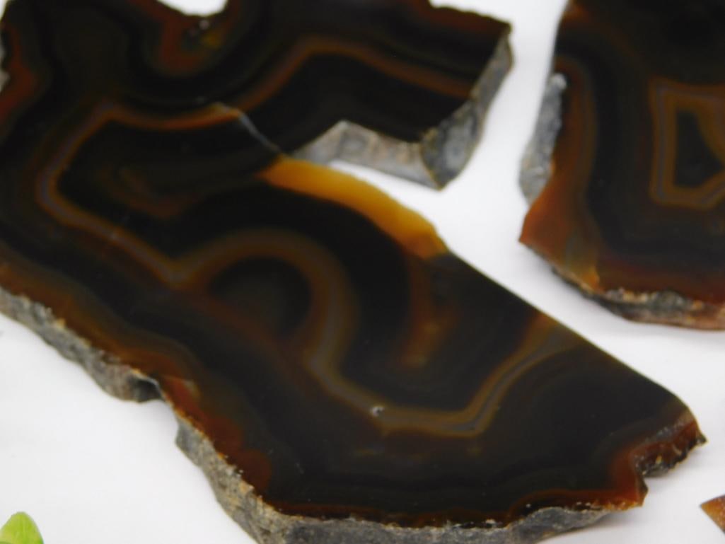 AGATE SLICE ROCK STONE LAPIDARY SPECIMEN - 2
