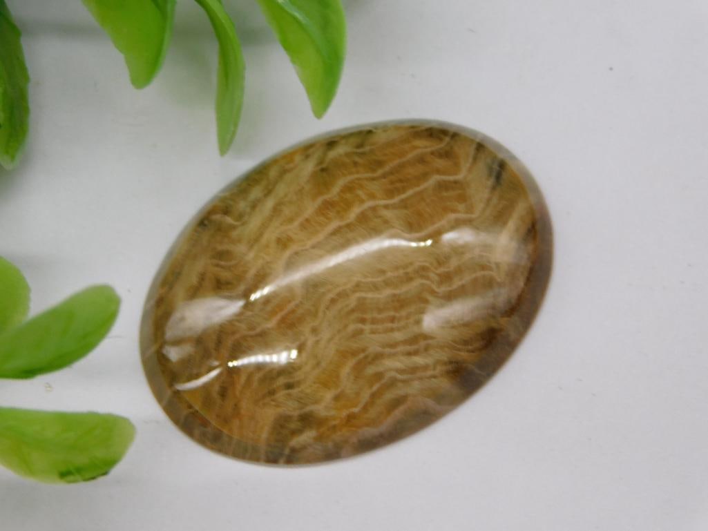 STONE CABOCHON ROCK STONE LAPIDARY SPECIMEN: STONE CABOCHON ROCK STONE LAPIDARY SPECIMEN