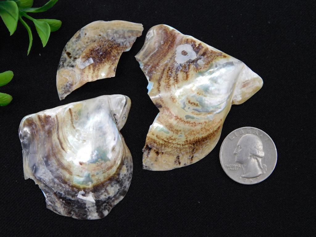 ROCK STONE LAPIDARY SPECIMEN - 2