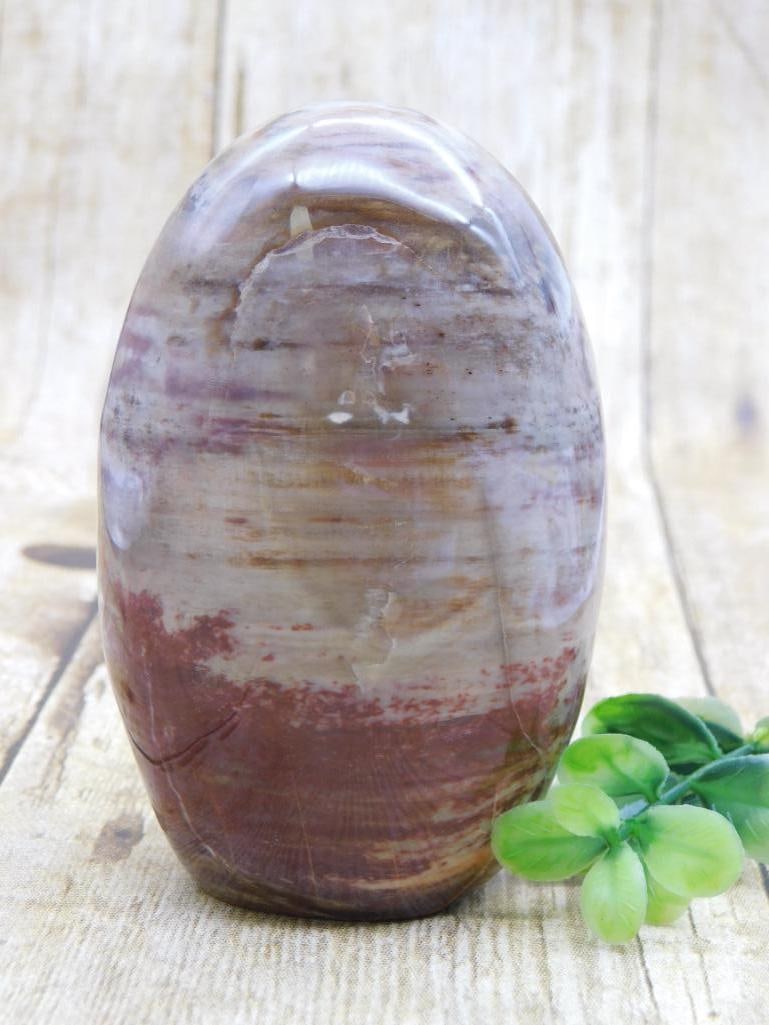 PETRIFIED WOOD ROCK STONE LAPIDARY SPECIMEN: PETRIFIED WOOD ROCK STONE LAPIDARY SPECIMEN