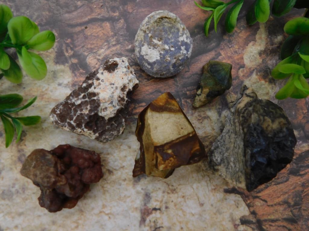 MIXED LOT ROCK STONE LAPIDARY SPECIMEN: MIXED LOT ROCK STONE LAPIDARY SPECIMEN