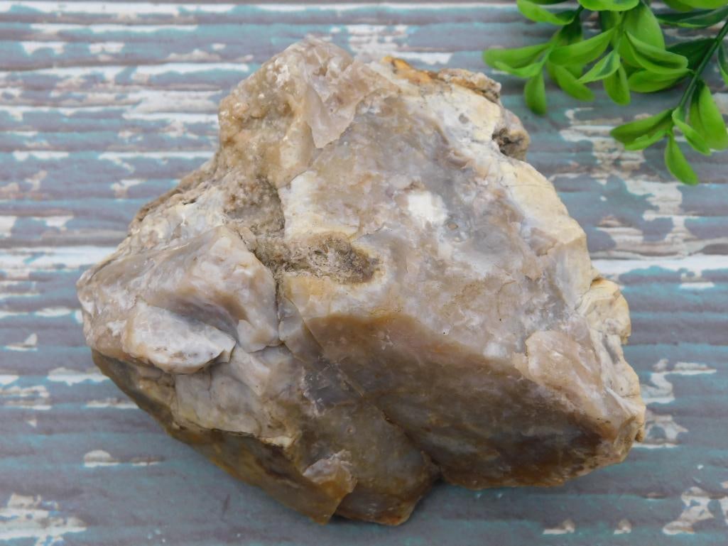 ROCK STONE LAPIDARY SPECIMEN: ROCK STONE LAPIDARY SPECIMEN