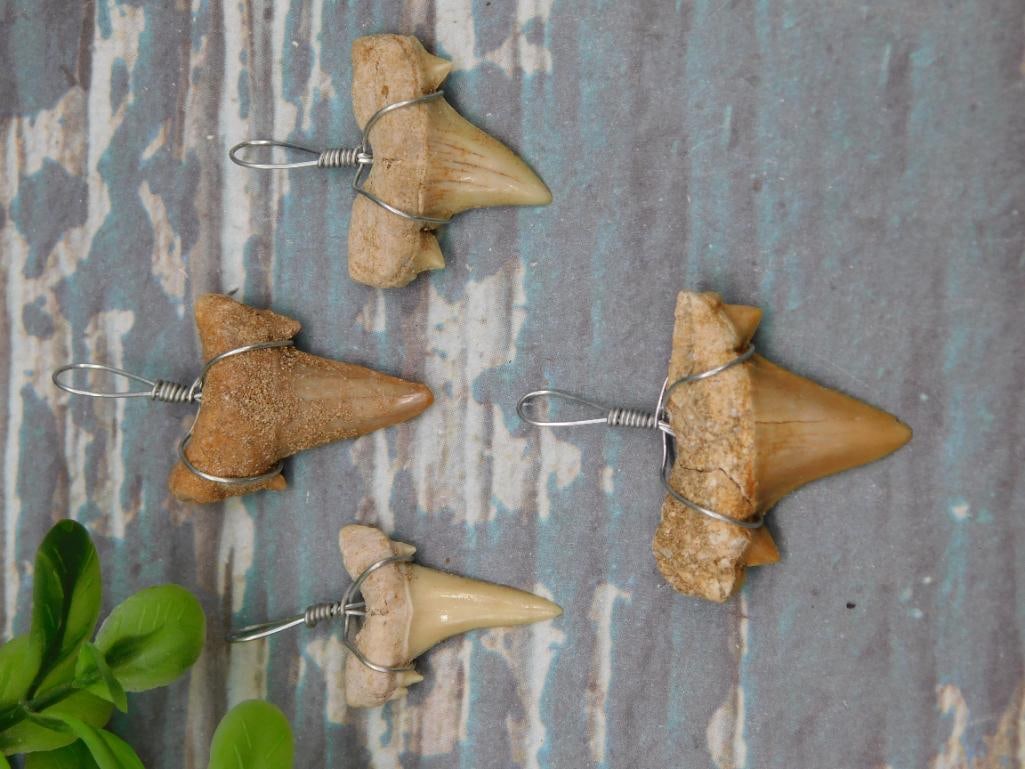 SHARK TEETH PENDANTS ROCK STONE LAPIDARY SPECIMEN: SHARK TEETH PENDANTS ROCK STONE LAPIDARY SPECIMEN