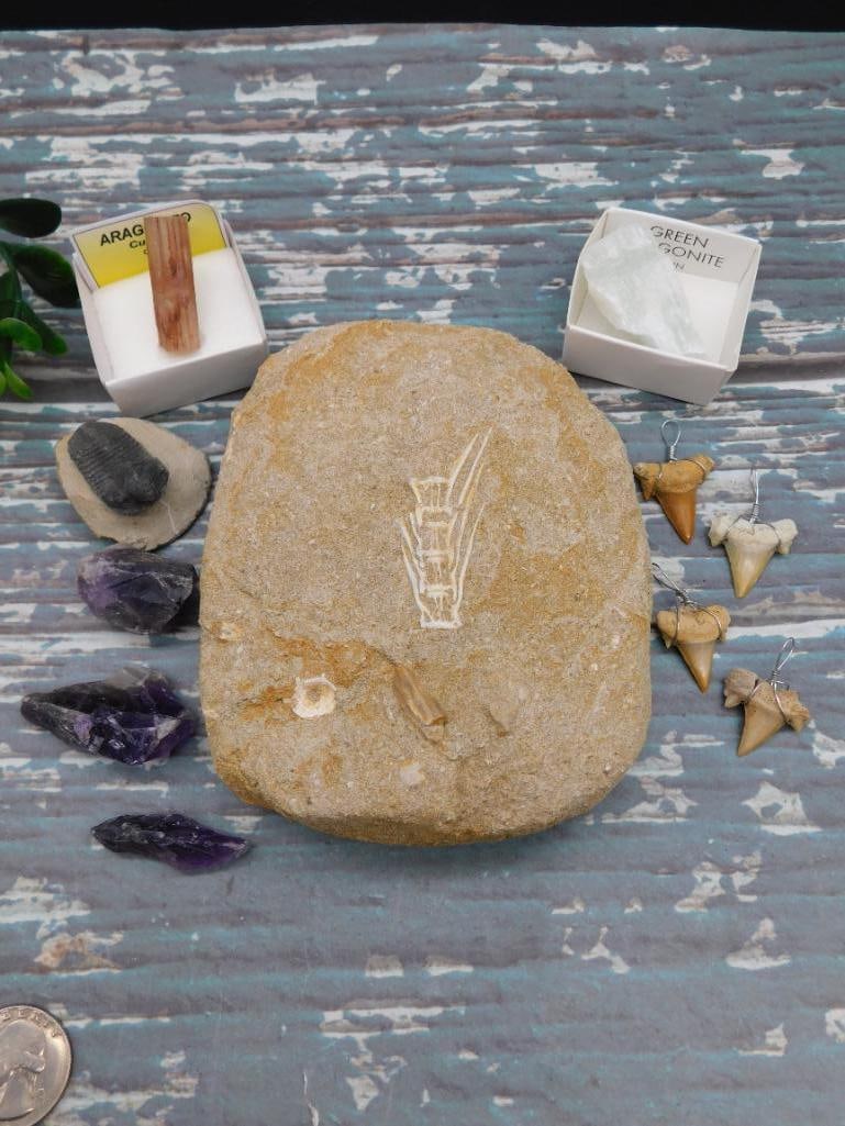 MIXED LOT ROCK STONE LAPIDARY SPECIMEN: MIXED LOT ROCK STONE LAPIDARY SPECIMEN