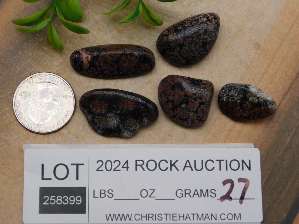 ROCK STONE LAPIDARY SPECIMEN - 2