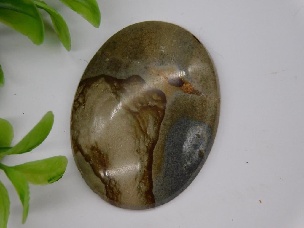 JASPER CABOCHON ROCK STONE LAPIDARY SPECIMEN: JASPER CABOCHON ROCK STONE LAPIDARY SPECIMEN