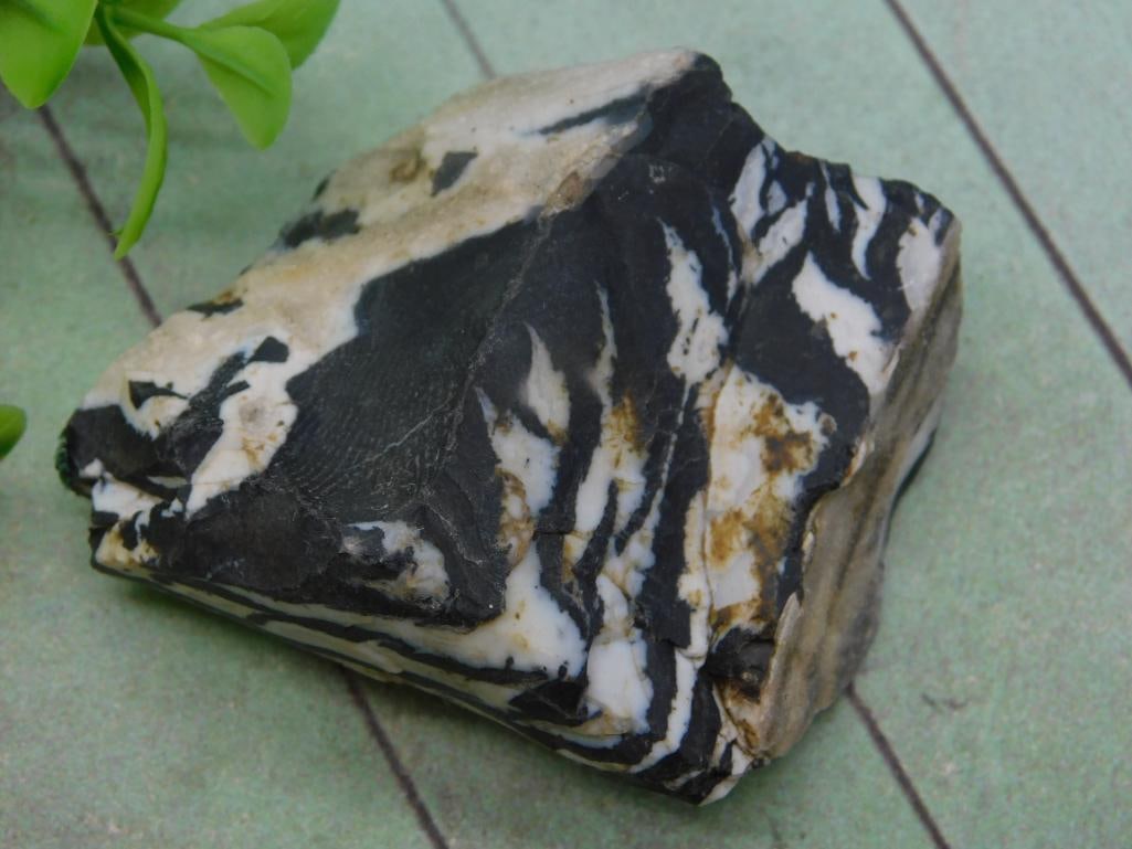 ZEBRA ROCK STONE LAPIDARY SPECIMEN: ZEBRA ROCK STONE LAPIDARY SPECIMEN