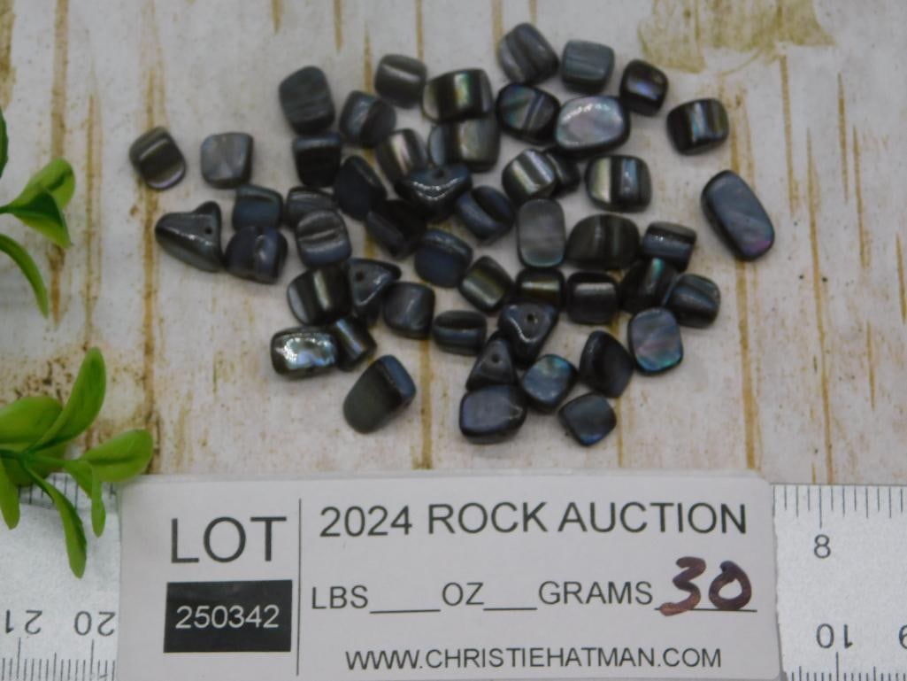 SHELL BEADS ROCK STONE LAPIDARY SPECIMEN - 3