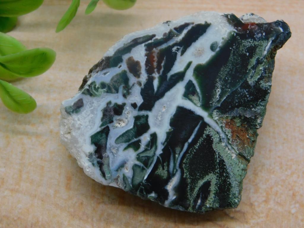 ZEBRA ROCK STONE LAPIDARY SPECIMEN: ZEBRA ROCK STONE LAPIDARY SPECIMEN