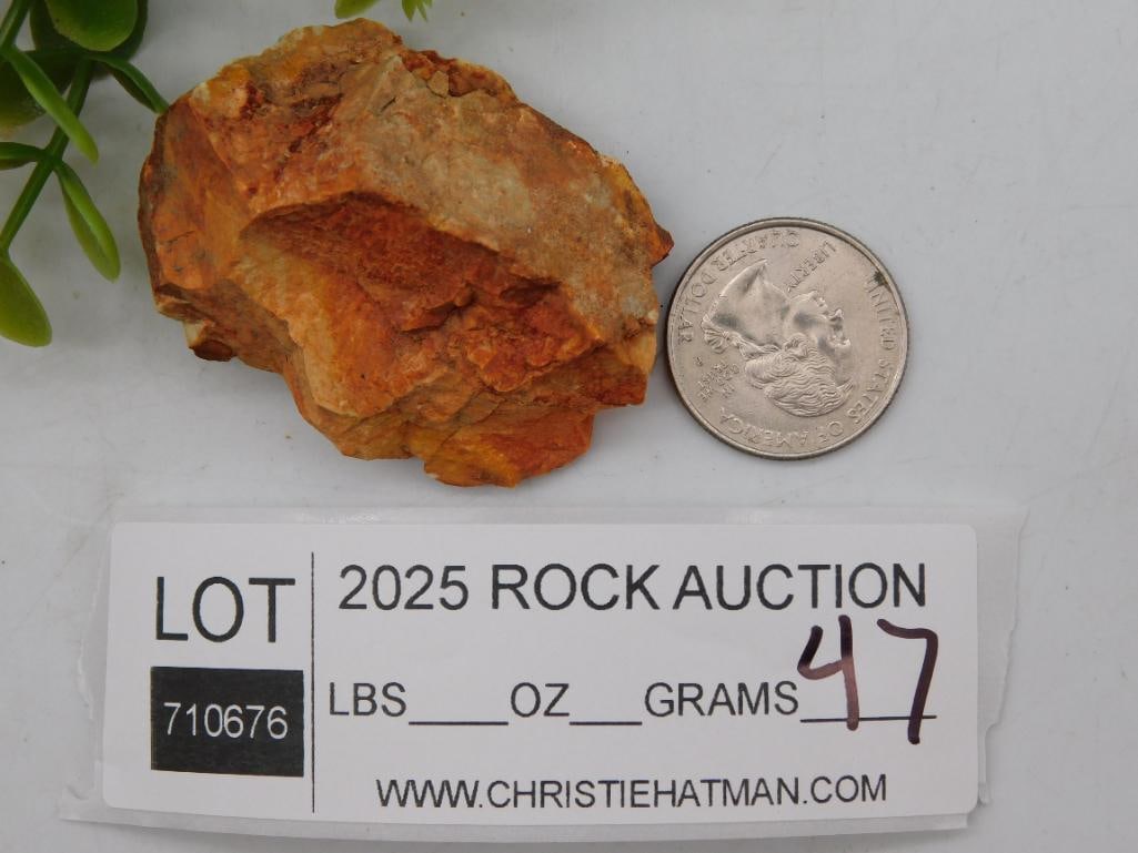 Rock Stone Lapidary Specimen - 2