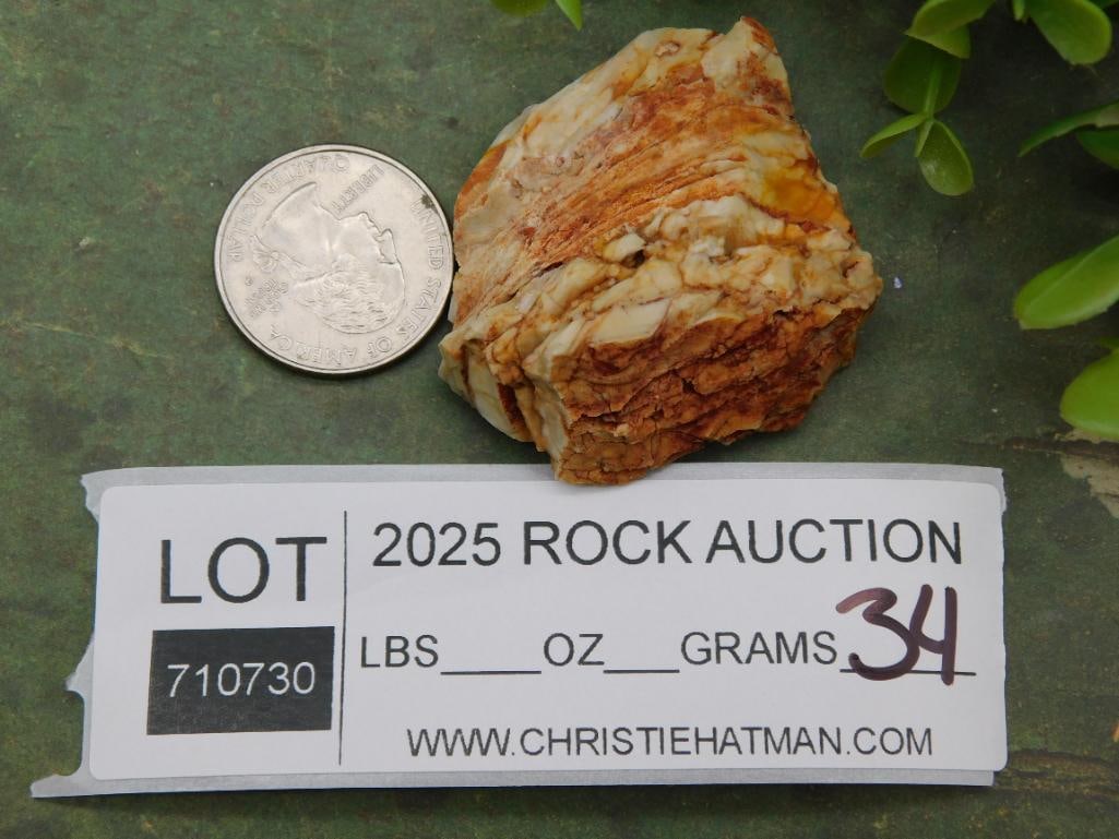 Rock Stone Lapidary Specimen - 2