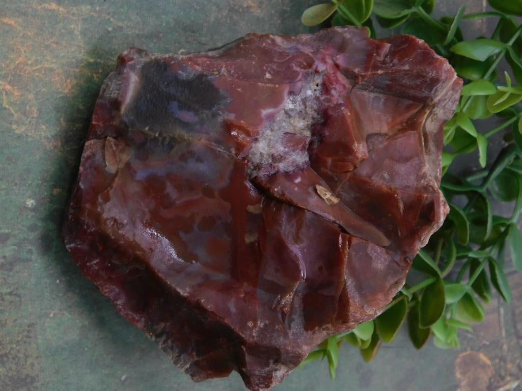 Rock Stone Lapidary Specimen: Rock Stone Lapidary Specimen