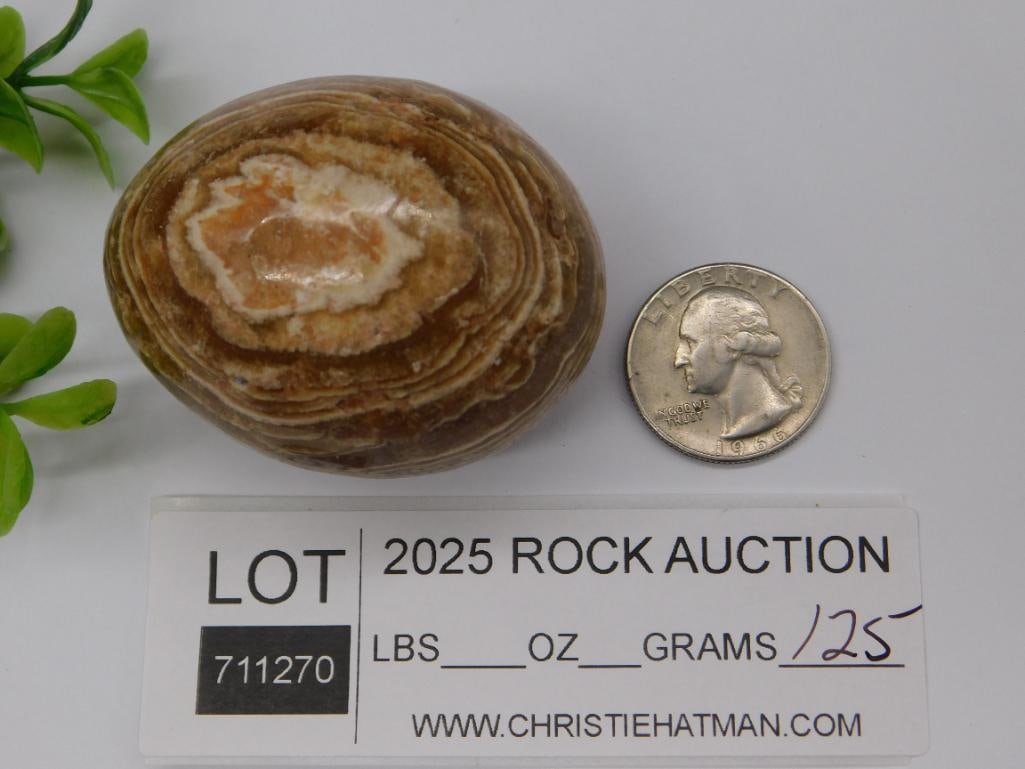 Banded Jasper Egg ROCK STONE LAPIDARY SPECIMEN - 2