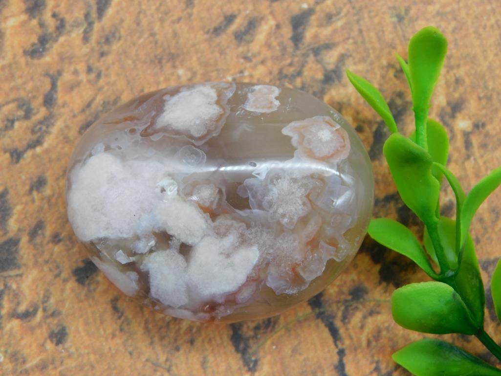 HATMANS FLOWER PETAL AGATE ROCK STONE LAPIDARY SPECIMEN (1 of 2)