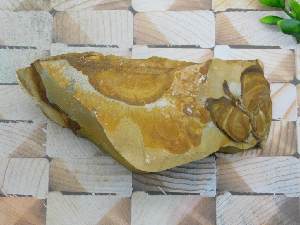 JASPER ROCK STONE LAPIDARY SPECIMEN (1 of 2)