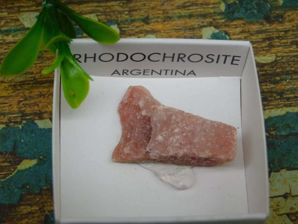 RHODOCHROSITE ROCK STONE LAPIDARY SPECIMEN: RHODOCHROSITE ROCK STONE LAPIDARY SPECIMEN