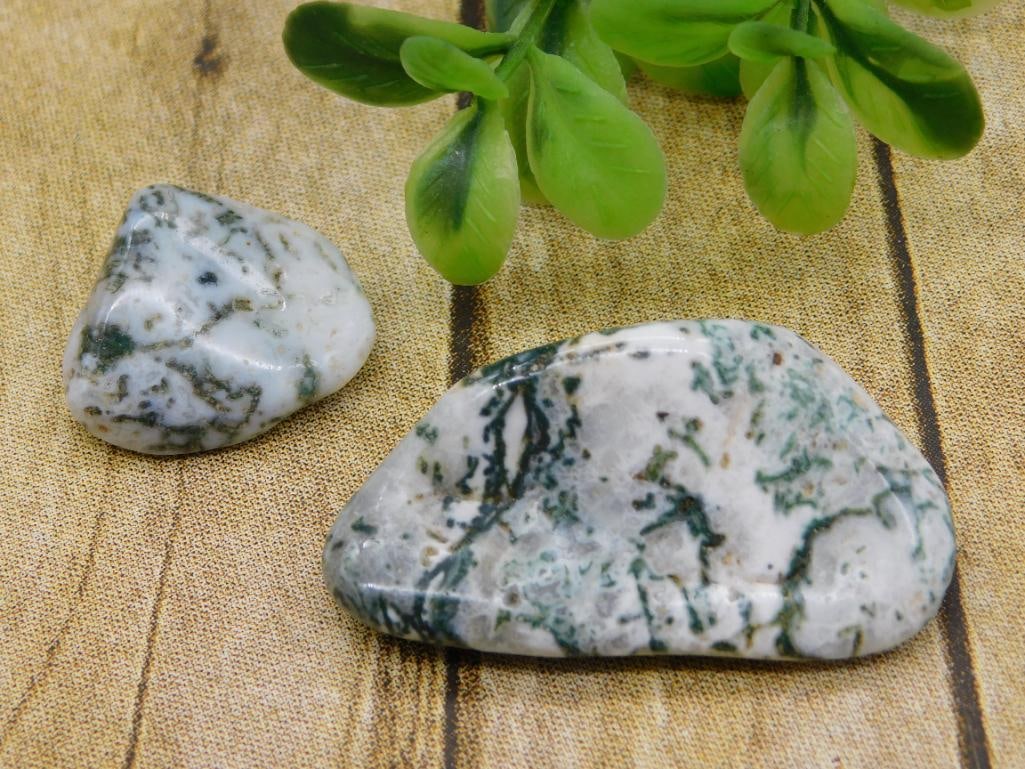 TREE AGATE ROCK STONE LAPIDARY SPECIMEN (1 of 2)