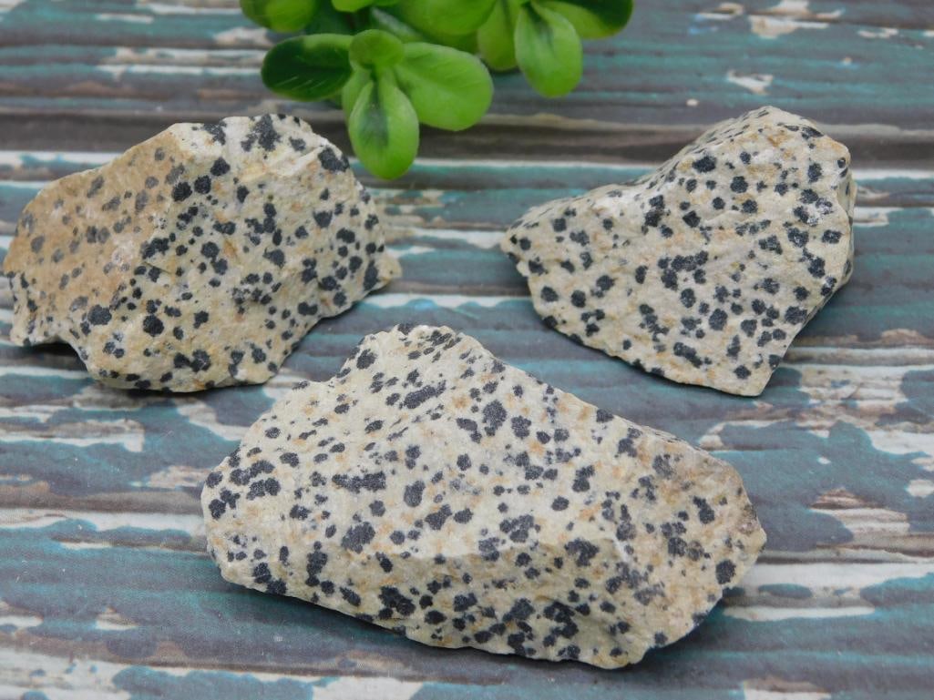 DALMATION JASPER ROCK STONE LAPIDARY SPECIMEN: DALMATION JASPER ROCK STONE LAPIDARY SPECIMEN