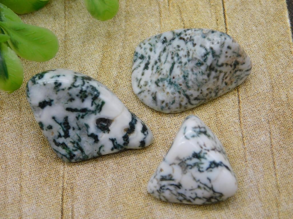 TREE AGATE ROCK STONE LAPIDARY SPECIMEN (1 of 2)