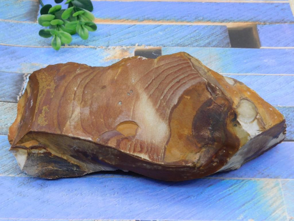 JASPER ROCK STONE LAPIDARY SPECIMEN (1 of 2)