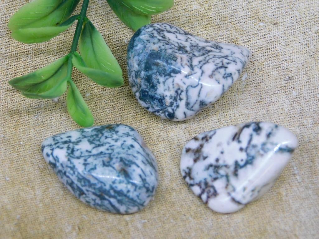 TREE AGATE ROCK STONE LAPIDARY SPECIMEN (1 of 2)