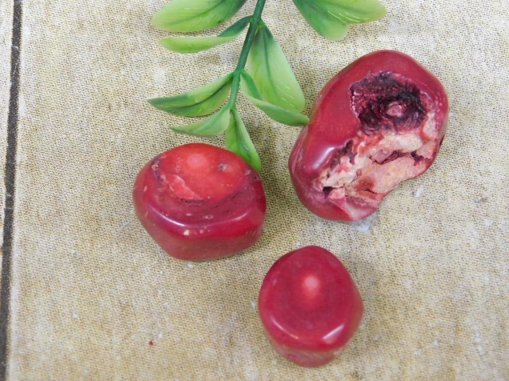 RED CORAL ROCK STONE LAPIDARY SPECIMEN: RED CORAL ROCK STONE LAPIDARY SPECIMEN